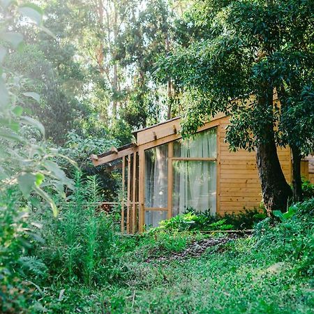 Cabanas Da Viscondessa Urzelina Buitenkant foto
