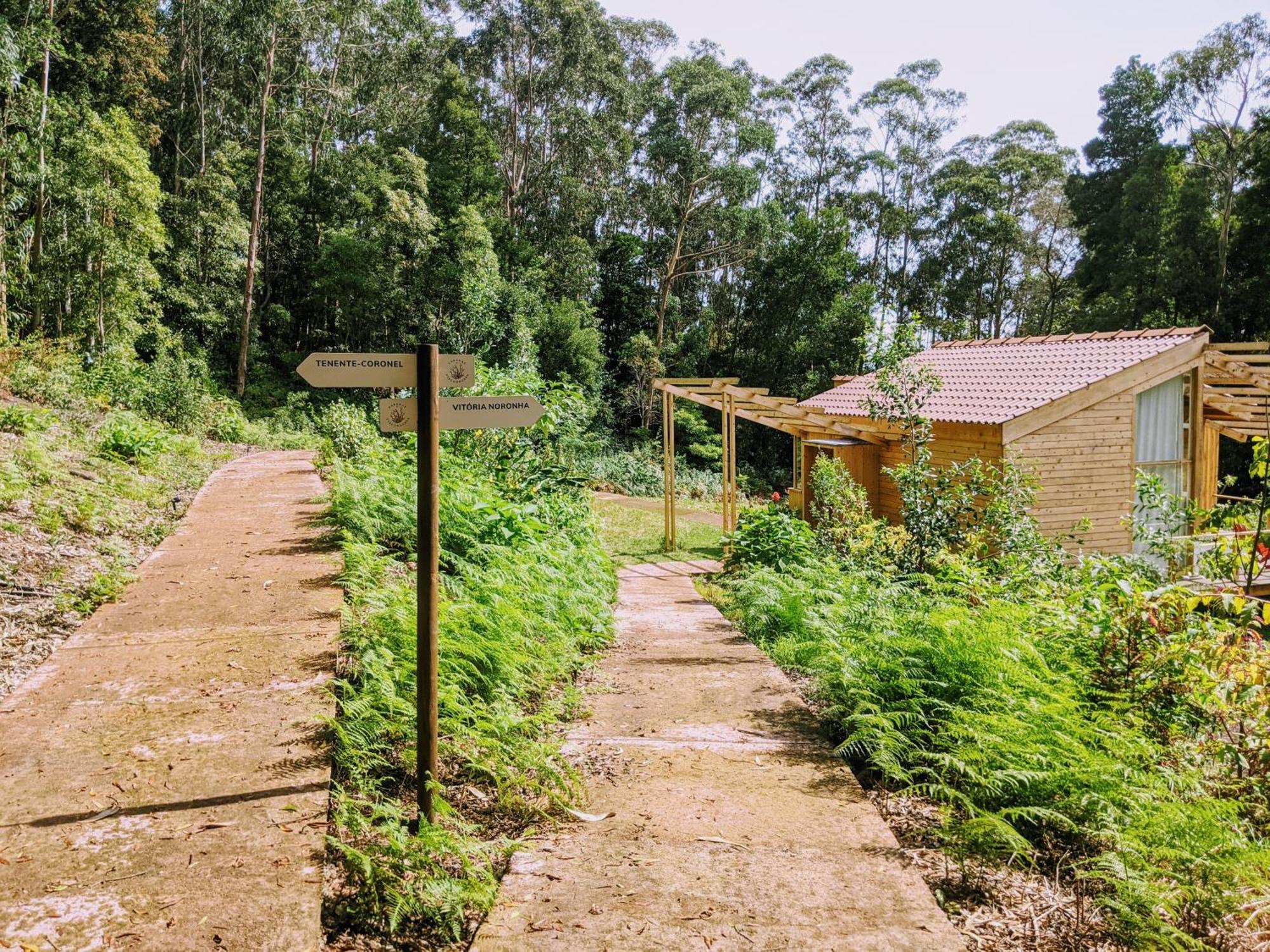 Cabanas Da Viscondessa Urzelina Buitenkant foto