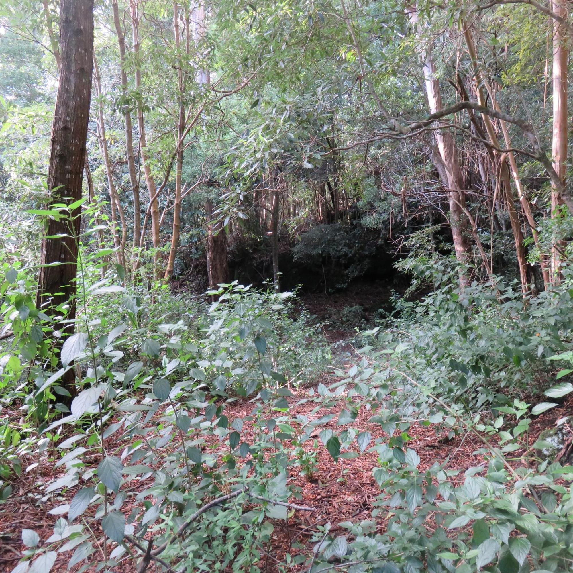 Cabanas Da Viscondessa Urzelina Buitenkant foto